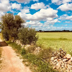 Arthouse Campos Mit Haus Galeria 110qm Und Appartementhaus Mit Patio 30qm Сasa de vacaciones
